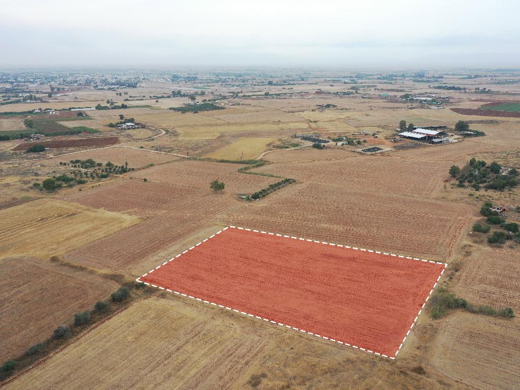 Agricultural Field - Avgorou, Famagusta image 2