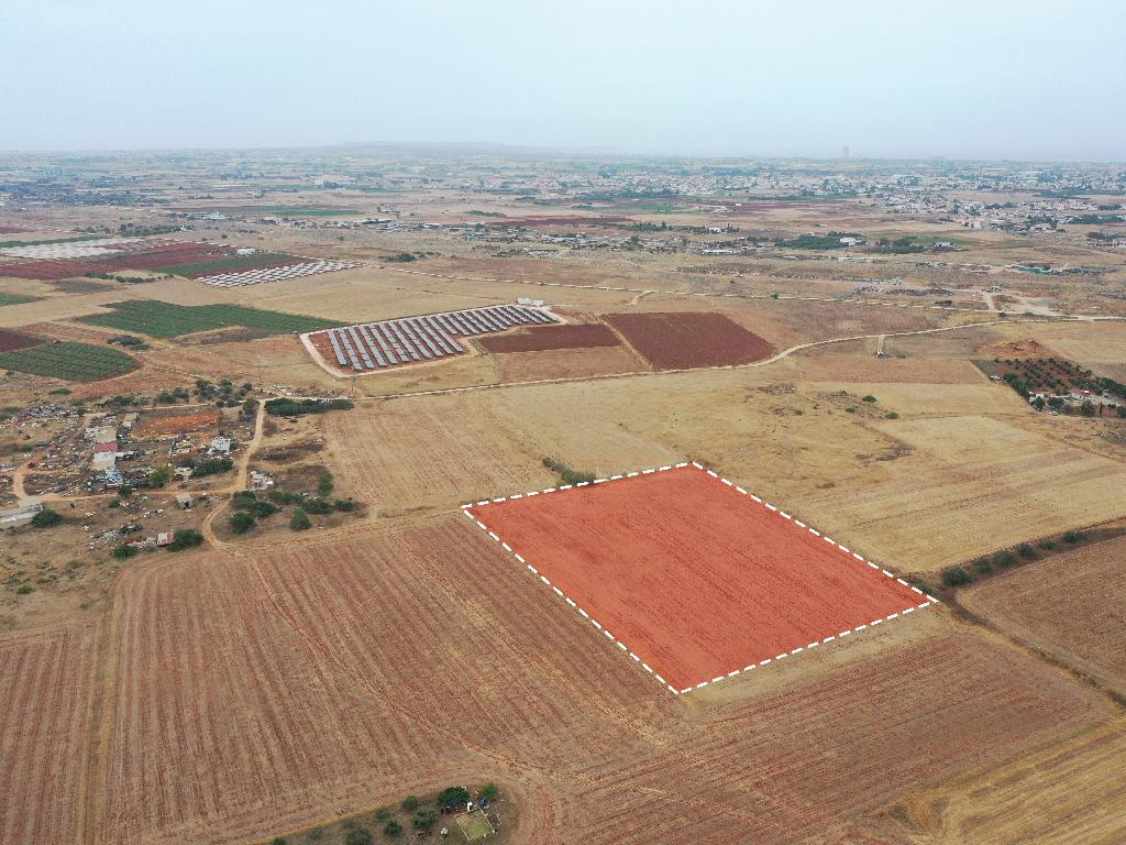 Agricultural Field - Avgorou, Famagusta