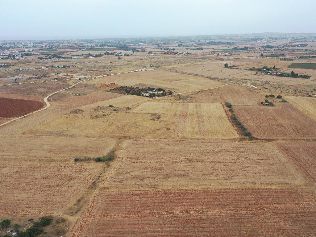 Agricultural Field - Avgorou, Famagusta image 5