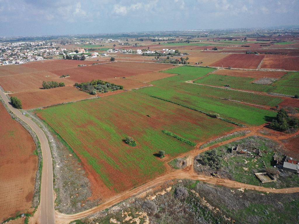 Agricultural Field - Avgorou, Famagusta image 4