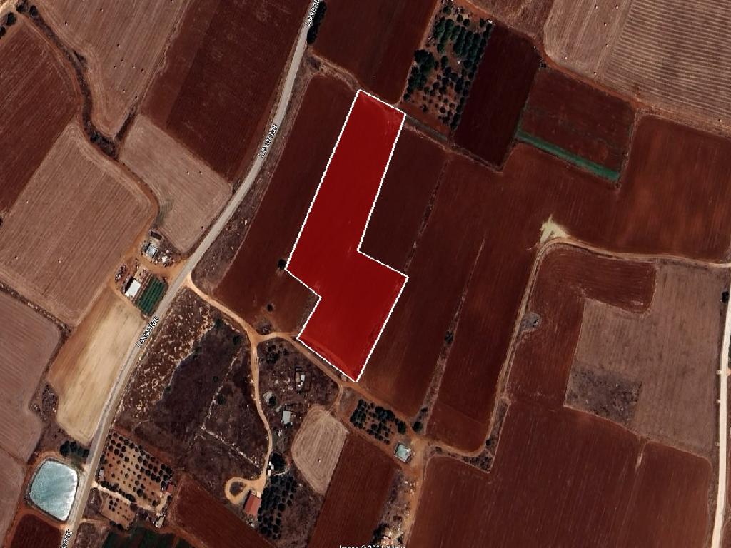Agricultural Field - Avgorou, Famagusta image 7