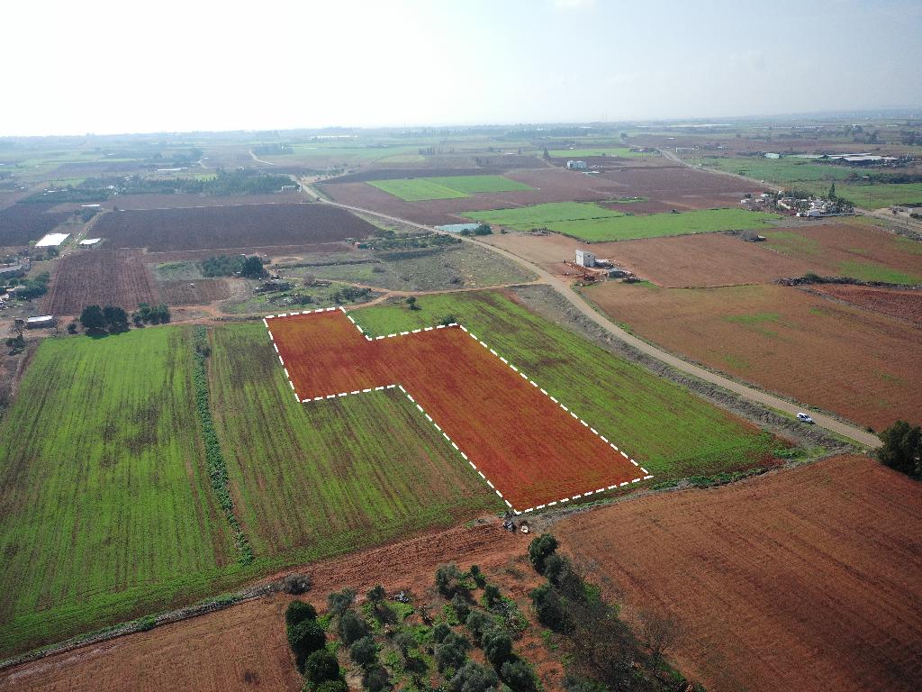 Agricultural Field - Avgorou, Famagusta image 3