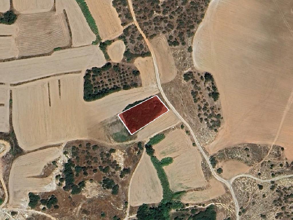 Agricultural Field - Paralimni, Famagusta