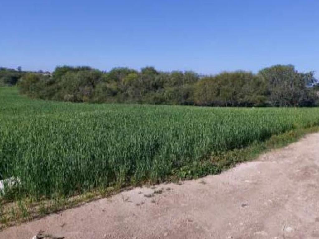 Agricultural Field - Paralimni, Famagusta image 2