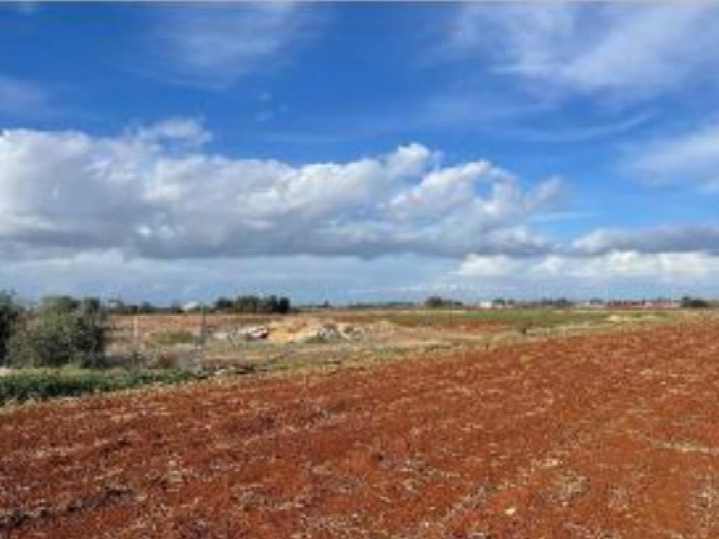 Agricultural Field - Avgorou, Famagusta image 2