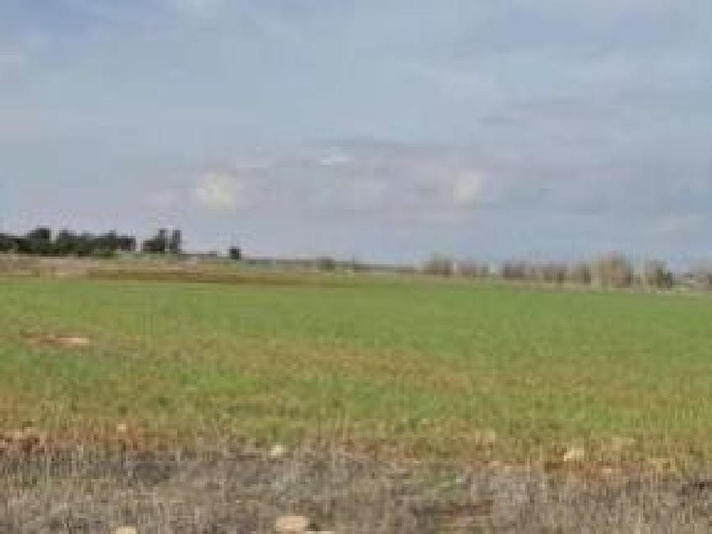 Agricultural Field - Frenaros, Famagusta image 2