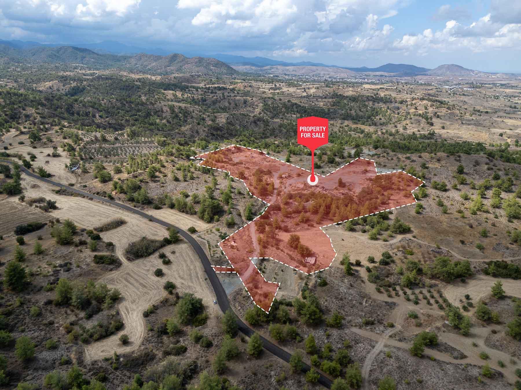 Field for sale, Politiko