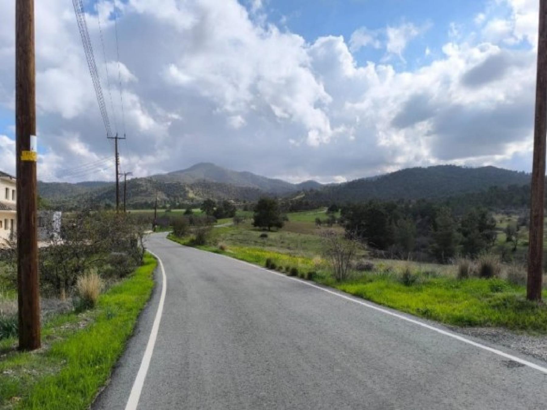 Field for sale, Agios Theodoros (Soleas)