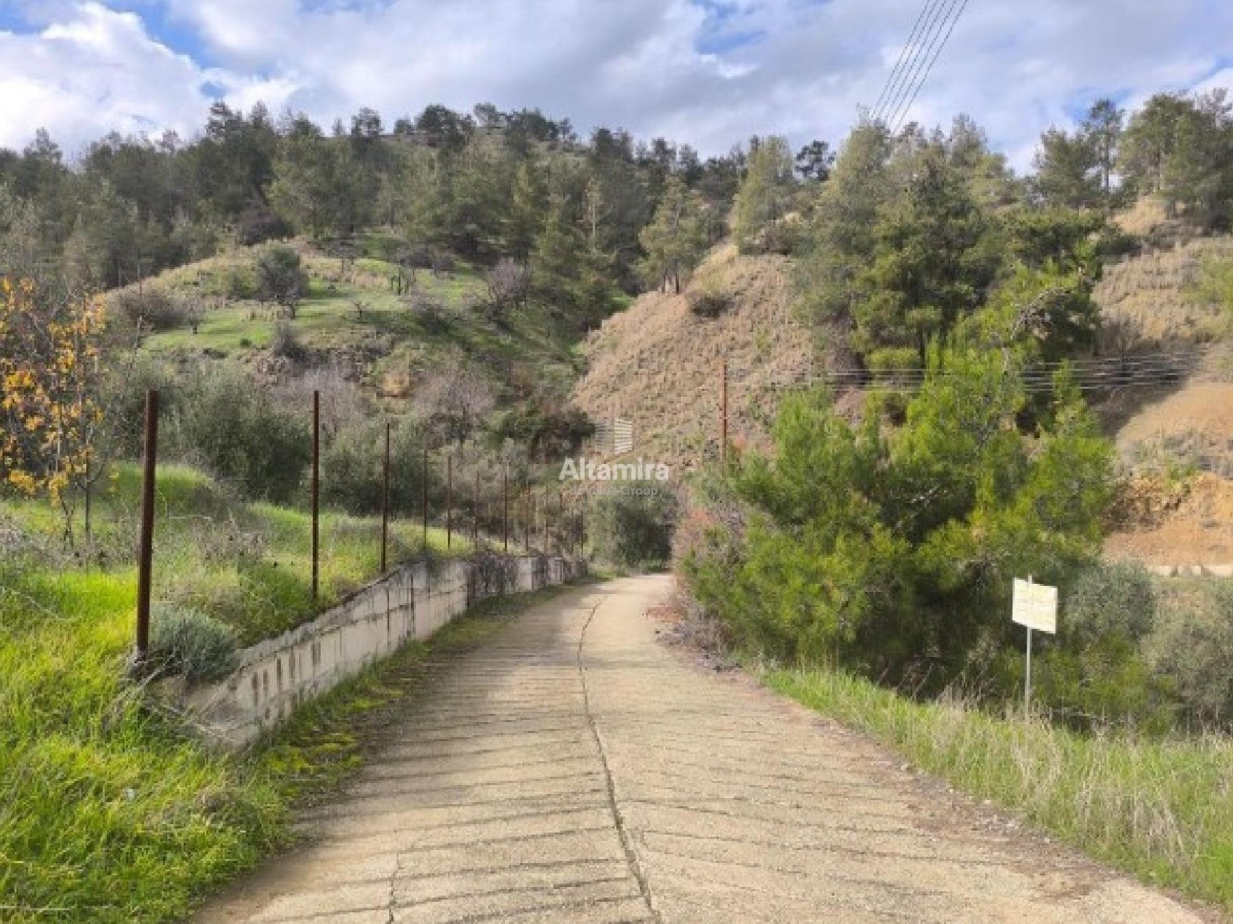 Field for sale, Agios Theodoros (Soleas)