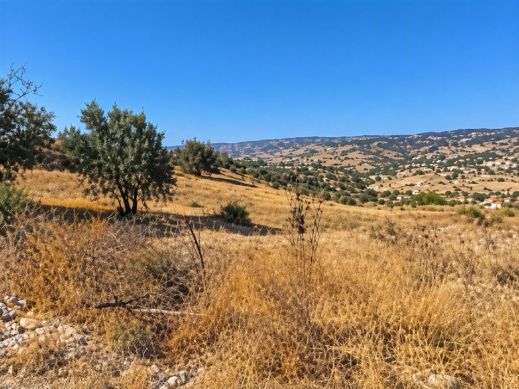 Field for sale, Psathi