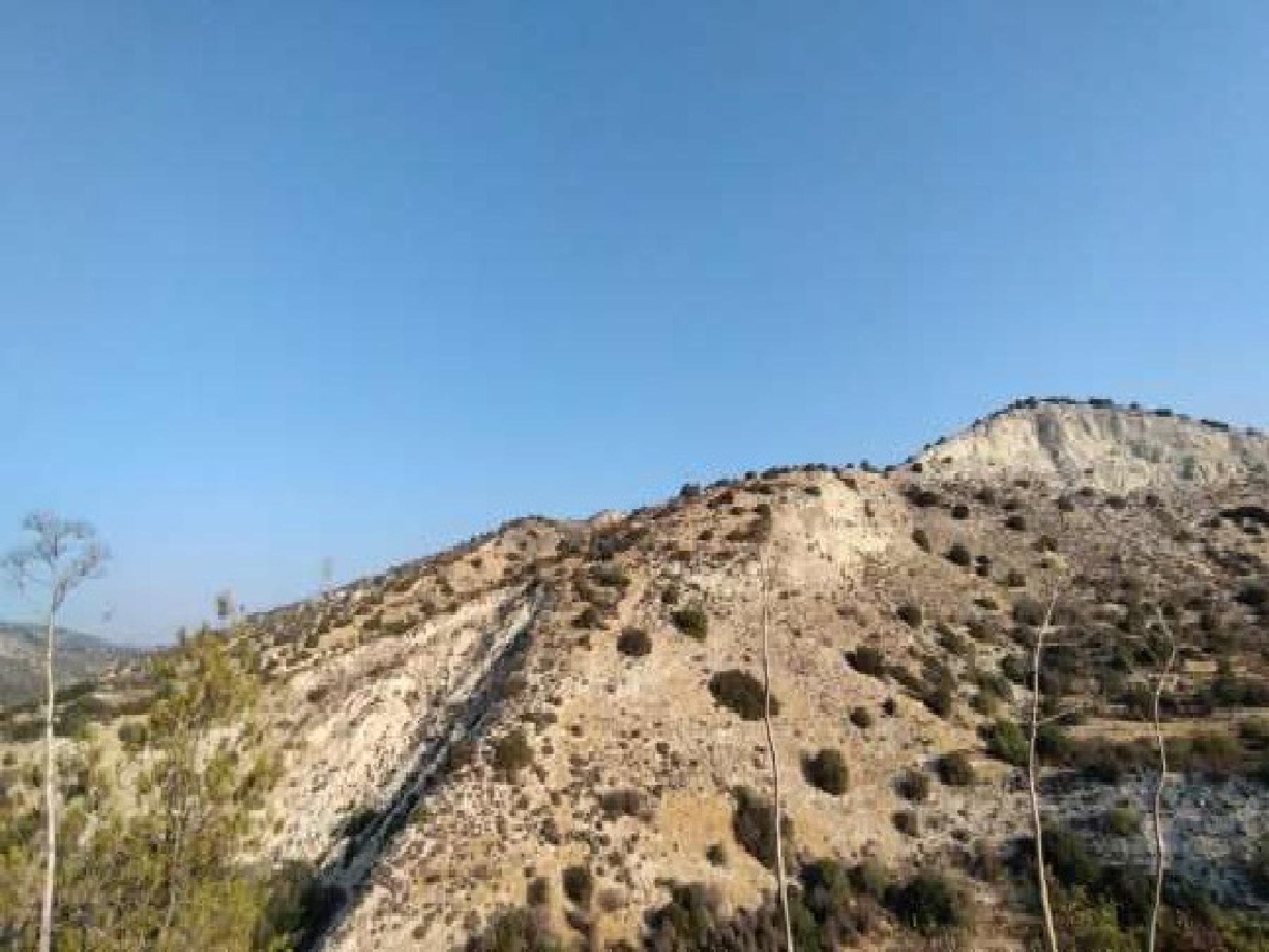 Field for sale, Skarinou