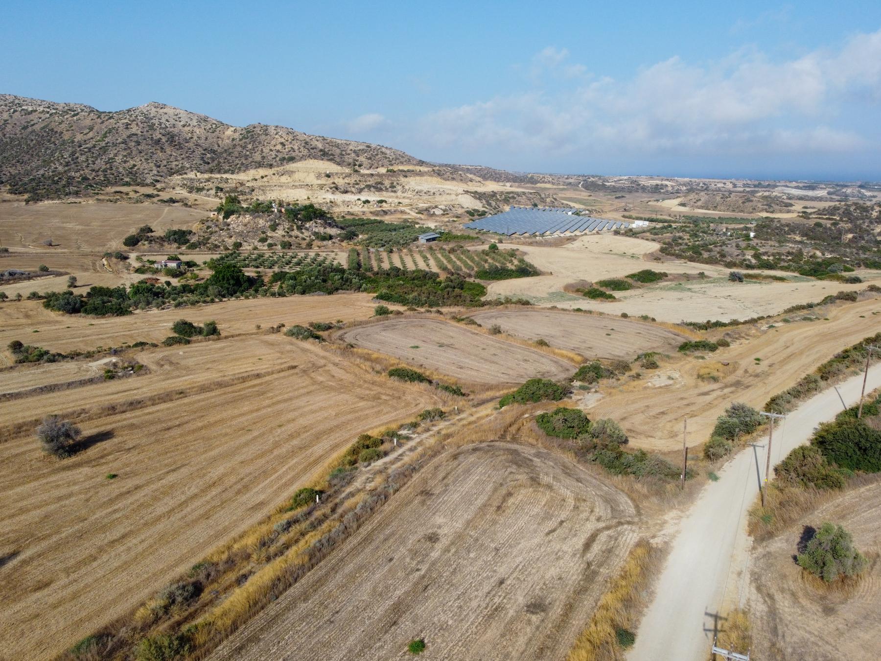 Field for sale, Maroni image 2