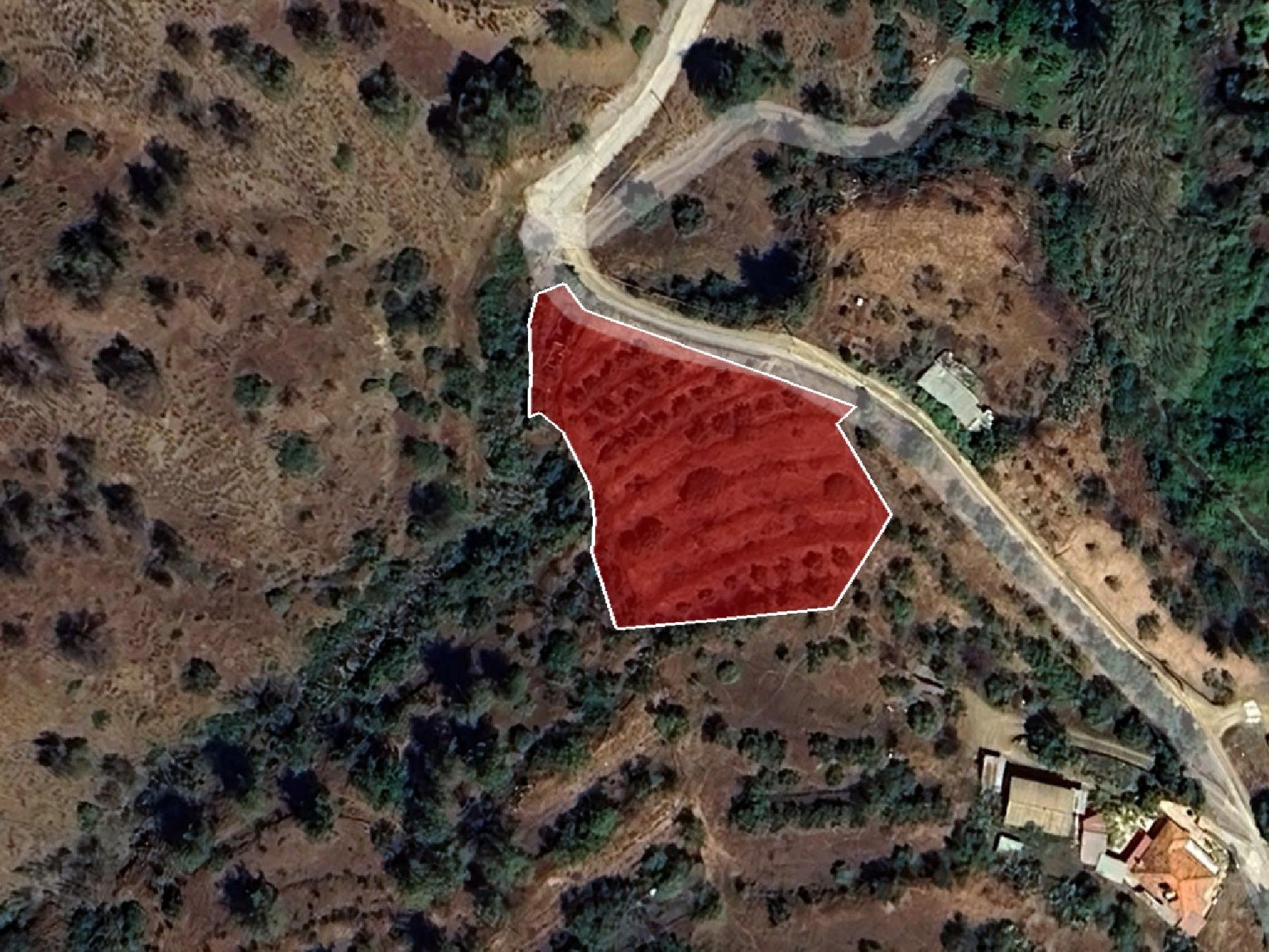 Field for sale, Agios Theodoros (Soleas) image 2