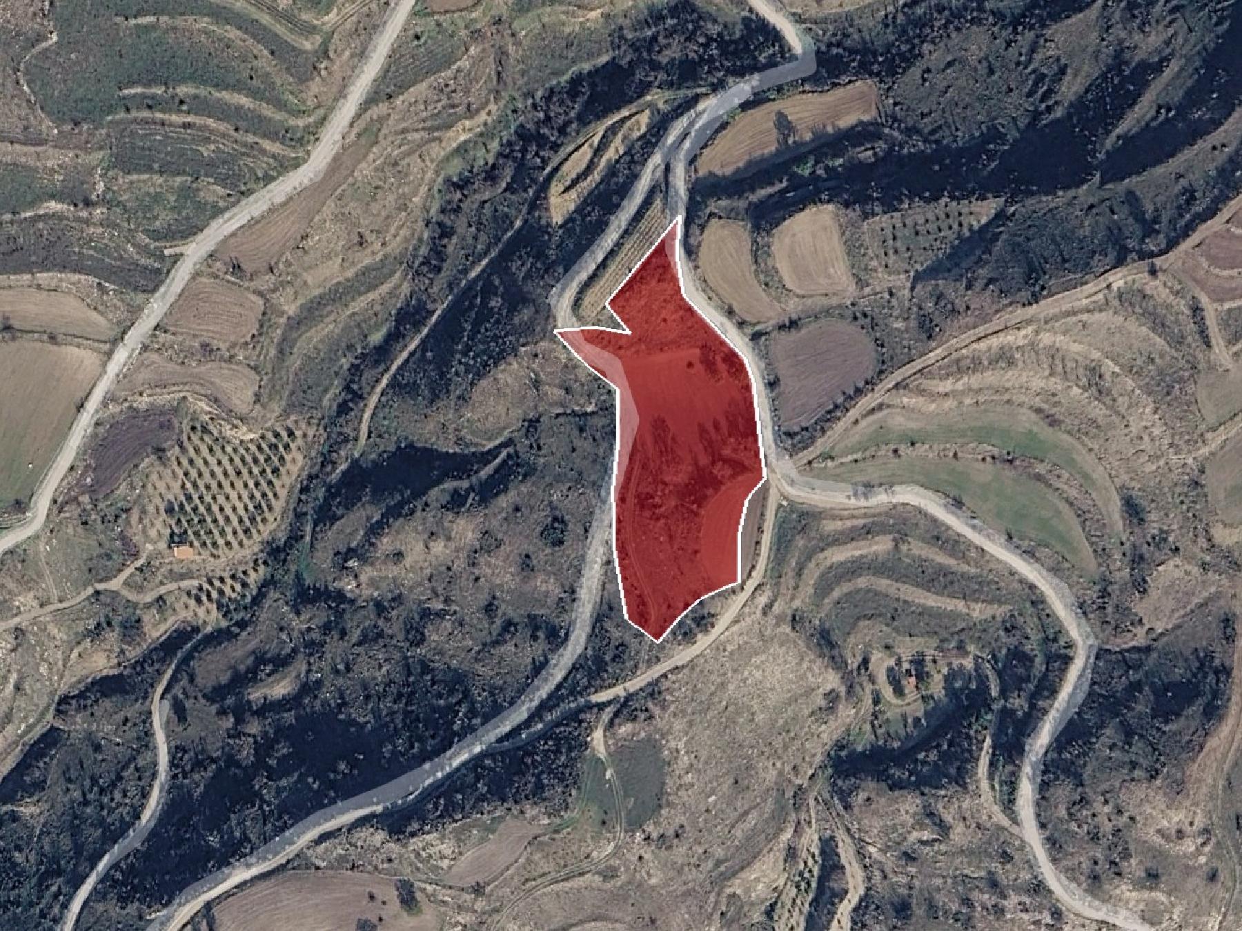 Field for sale, Psathi image 2