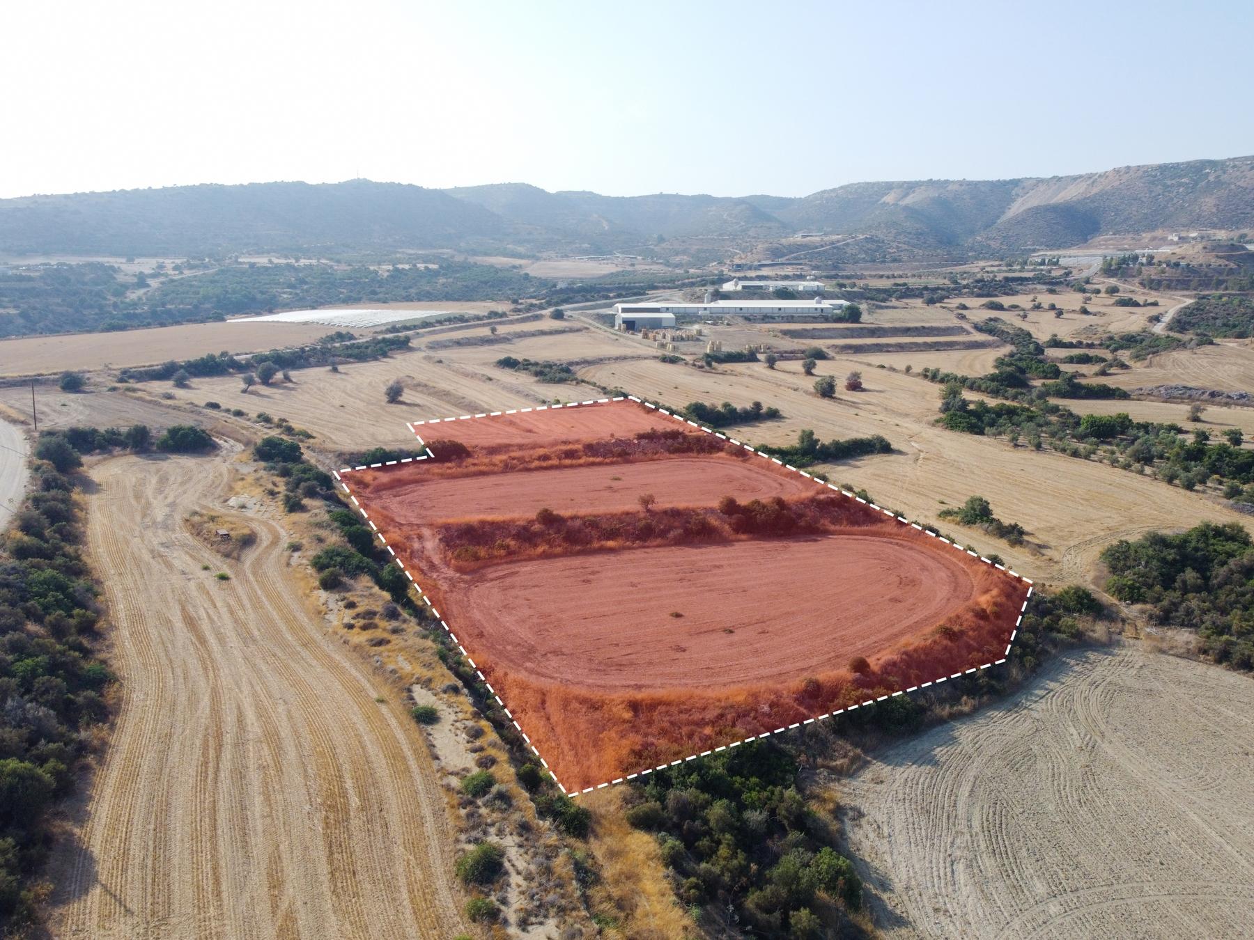 Field for sale, Maroni image 3