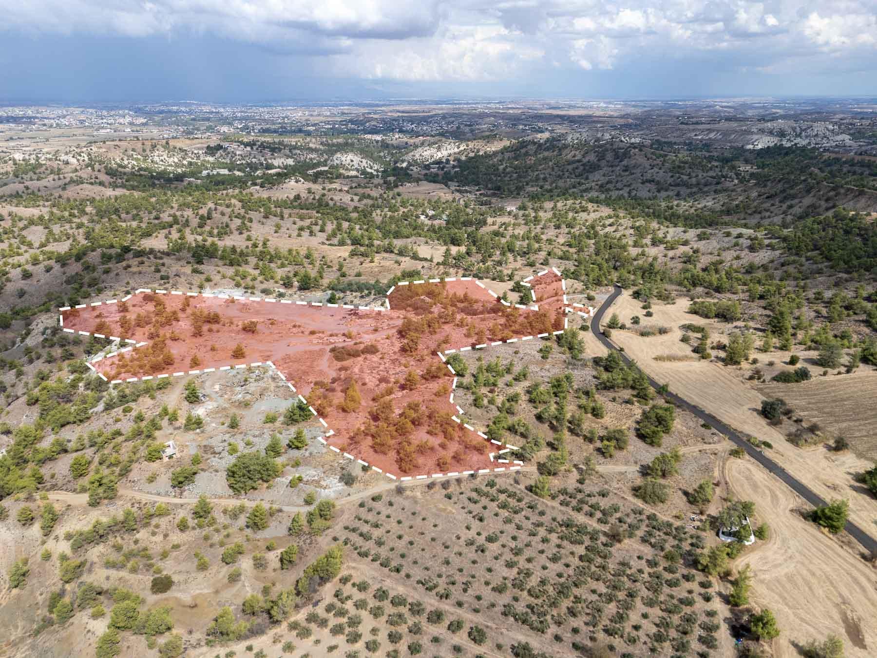 Field for sale, Politiko image 3