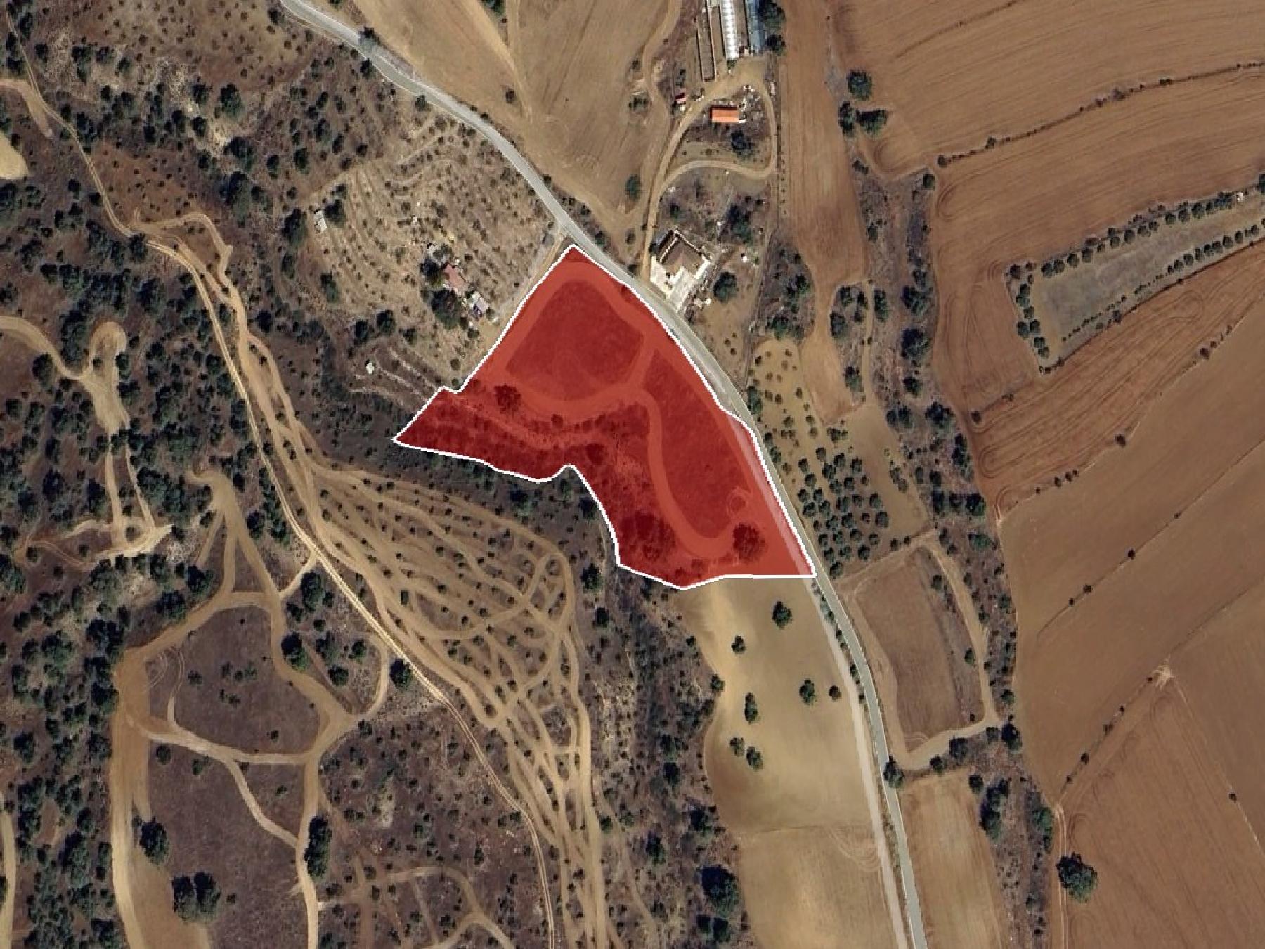 Field for sale, Agios Theodoros (Soleas) image 3