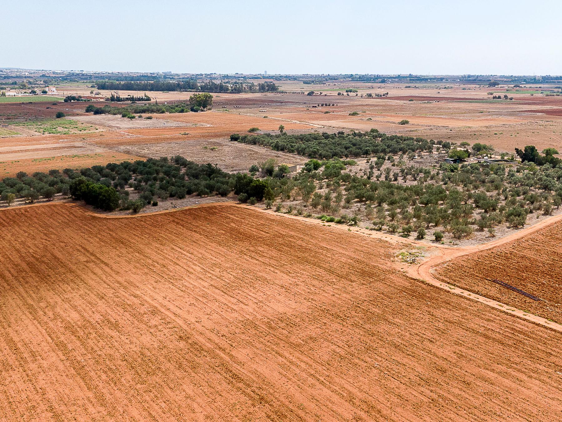 Field for sale, Avgorou image 3