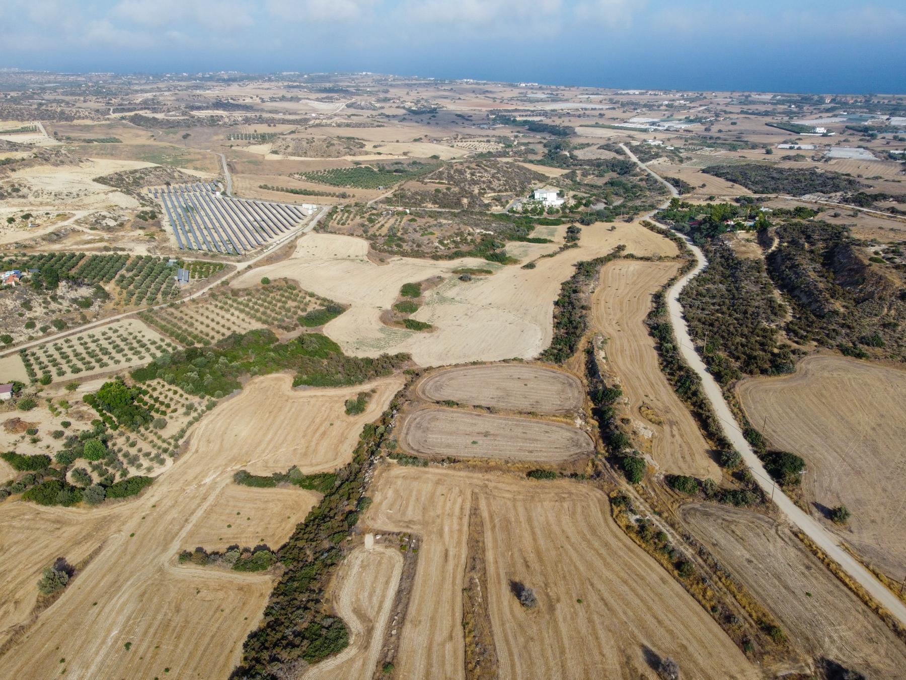 Field for sale, Maroni image 4
