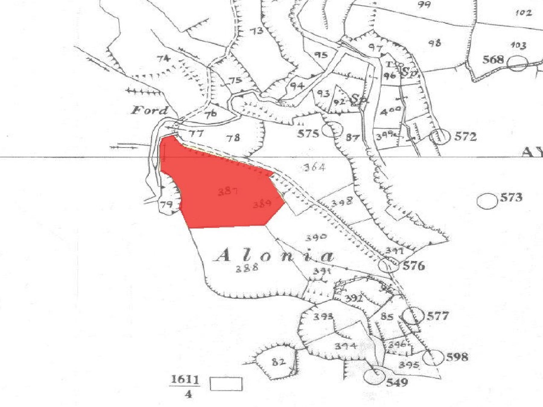 Field for sale, Agios Theodoros (Soleas) image 4