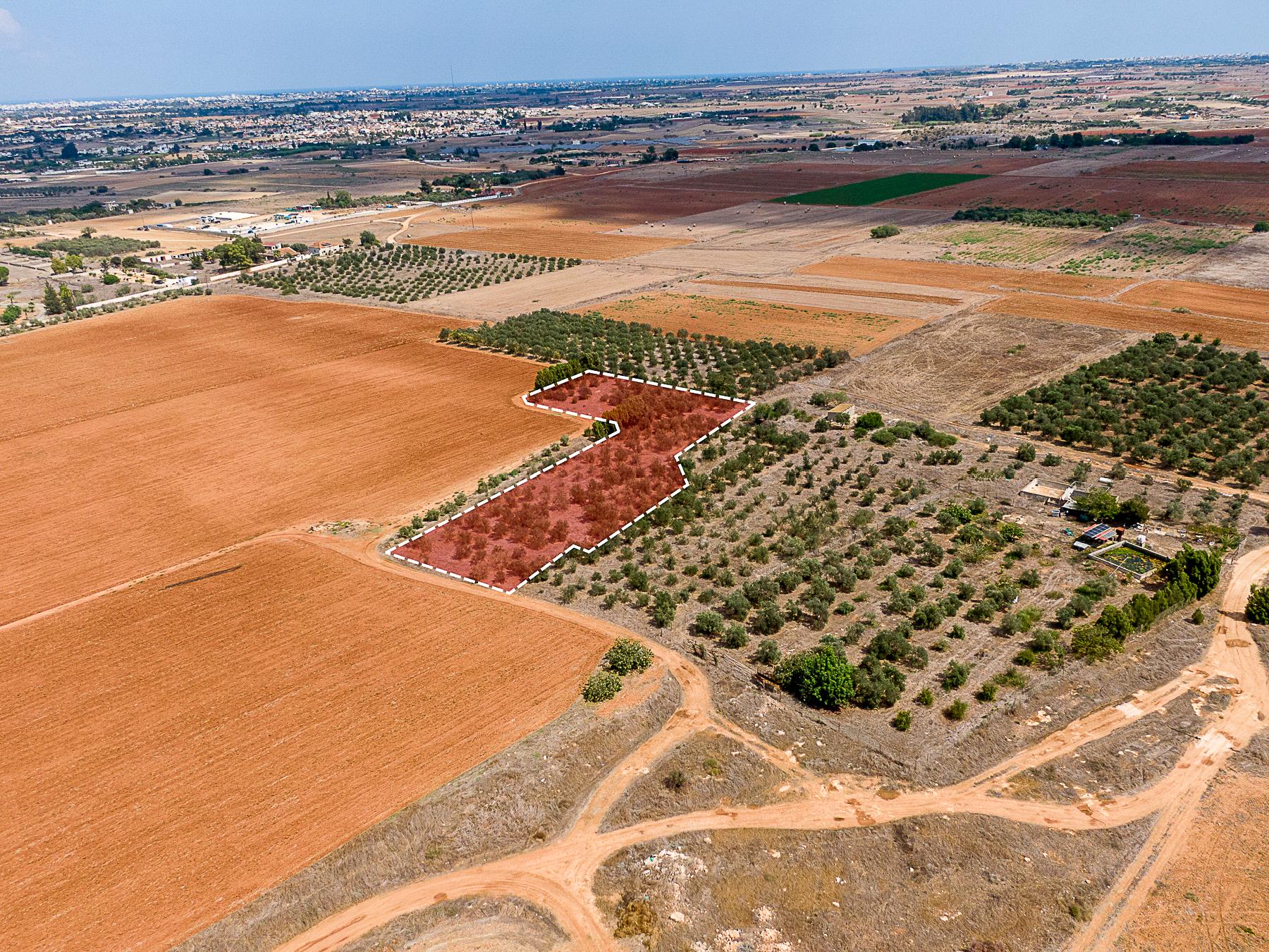 Field for sale, Avgorou image 4