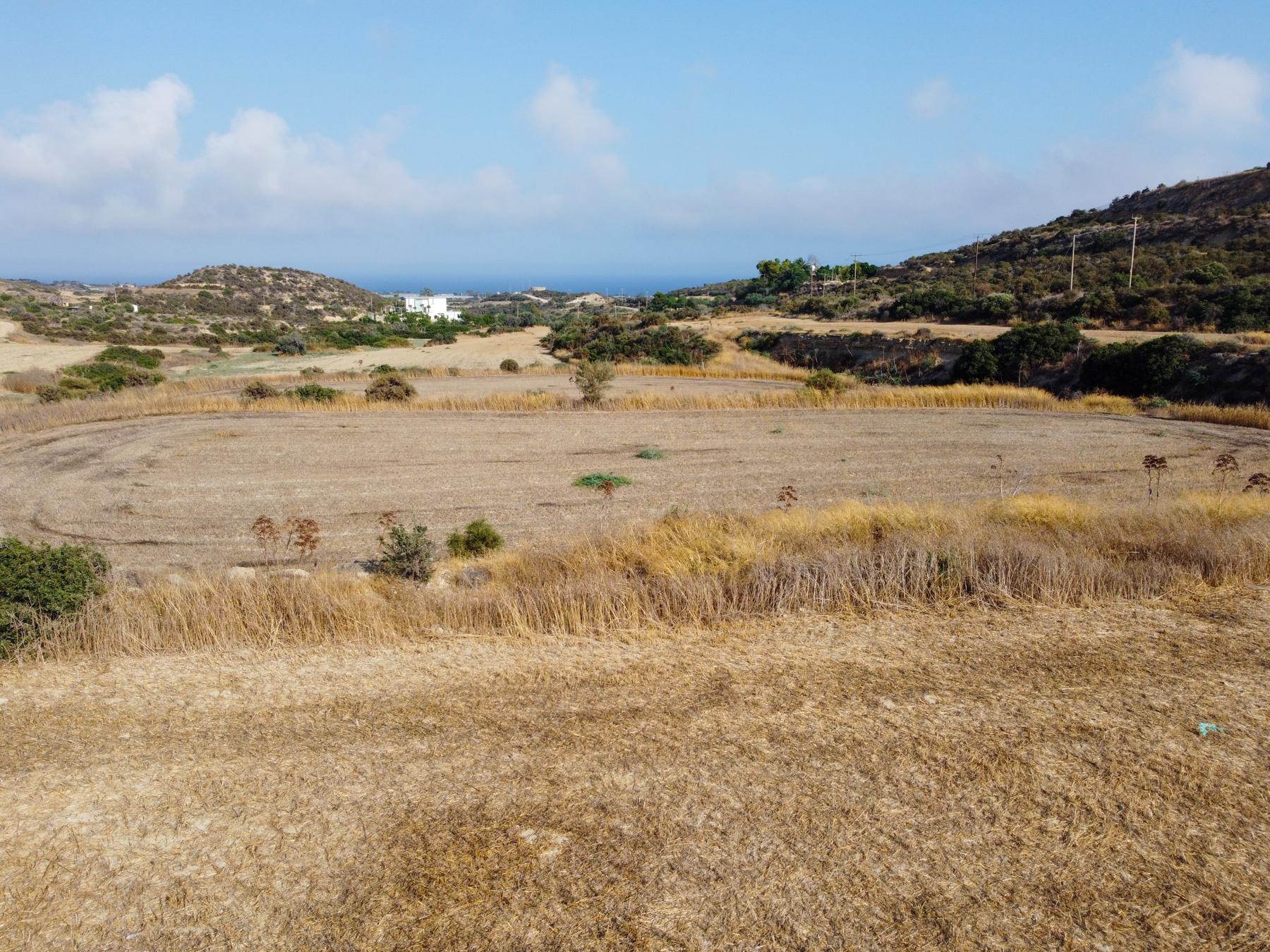 Field for sale, Maroni image 5