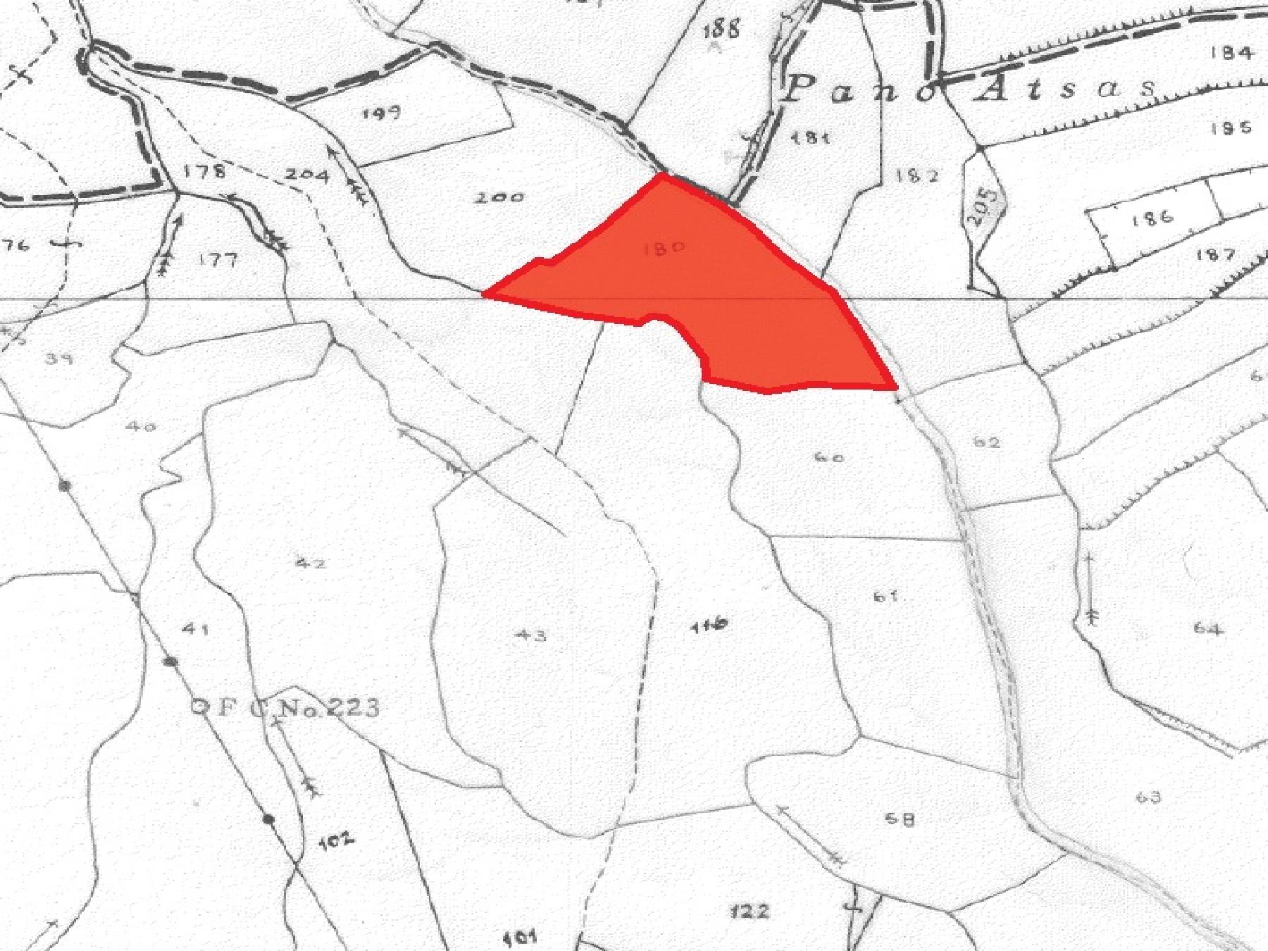 Field for sale, Agios Theodoros (Soleas) image 5