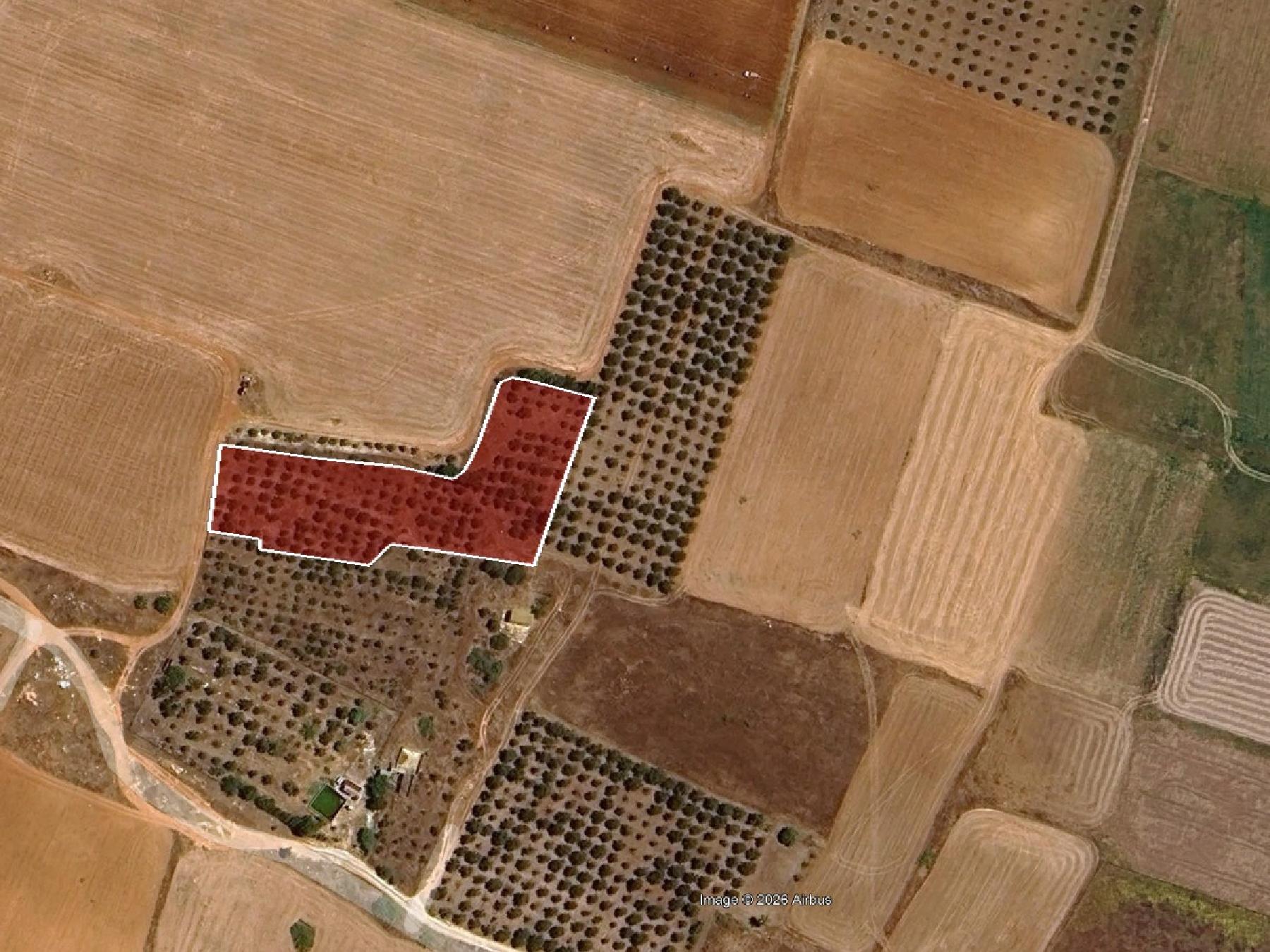 Field for sale, Avgorou image 5