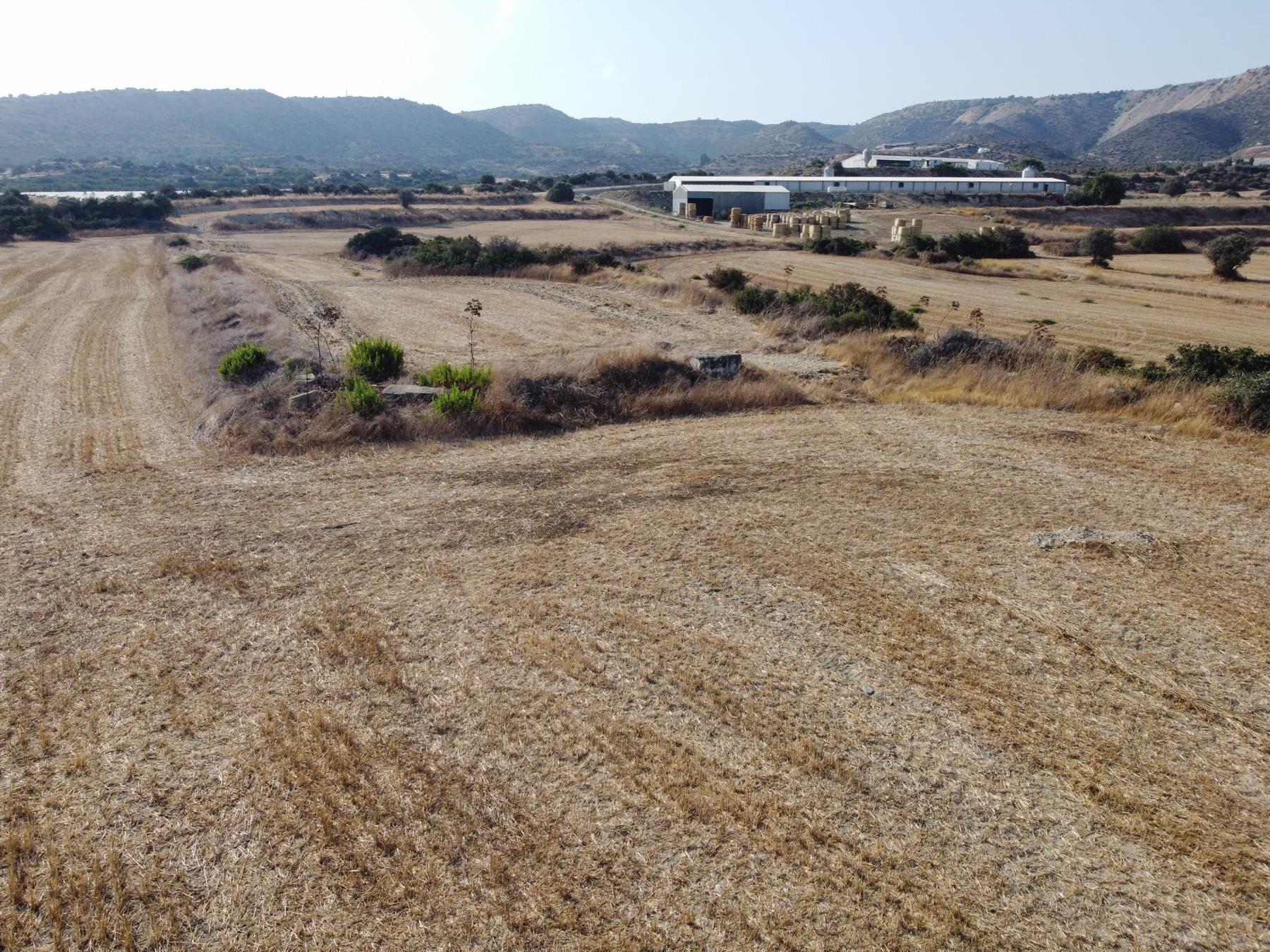 Field for sale, Maroni image 6
