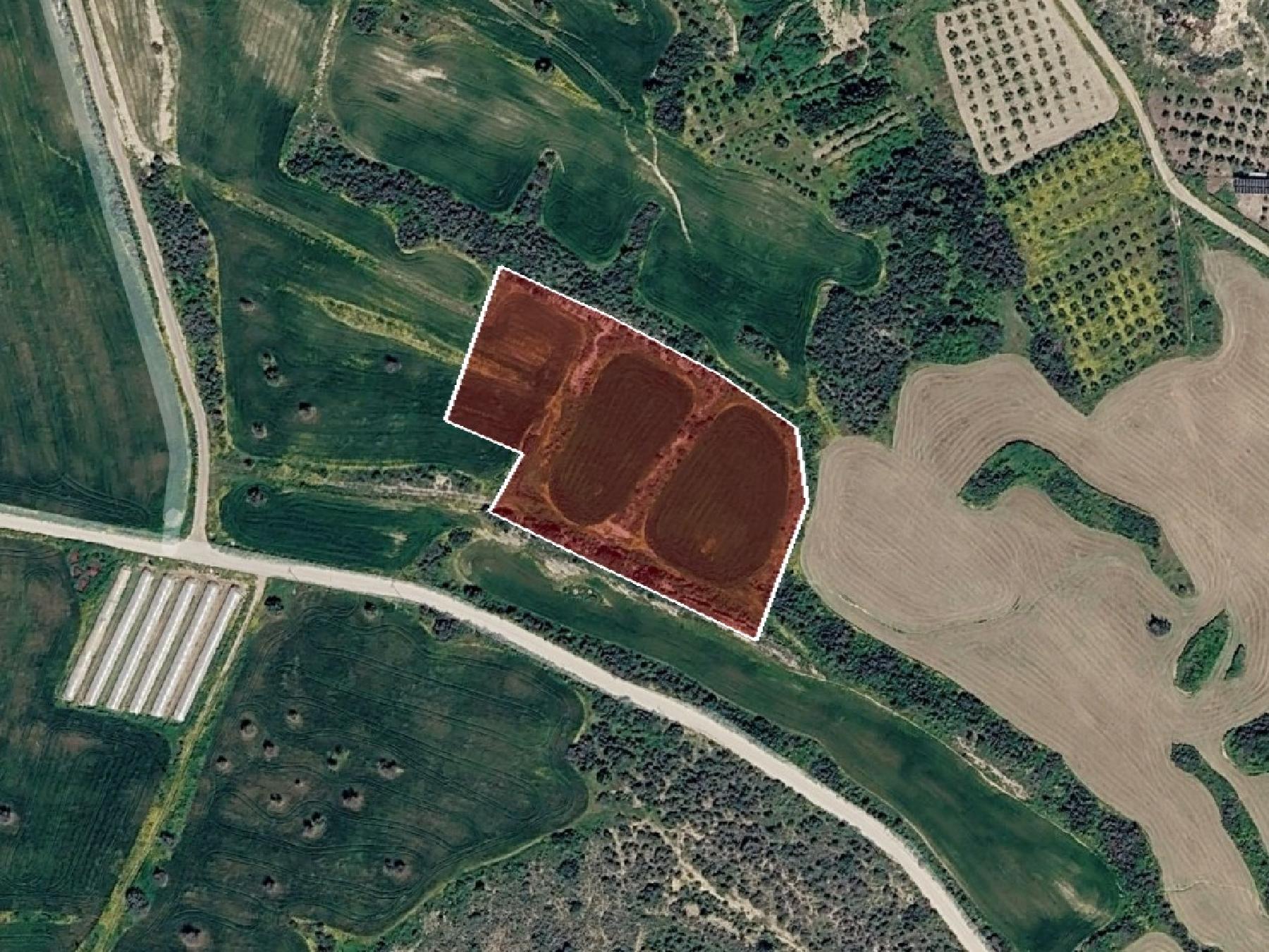 Field for sale, Maroni image 7