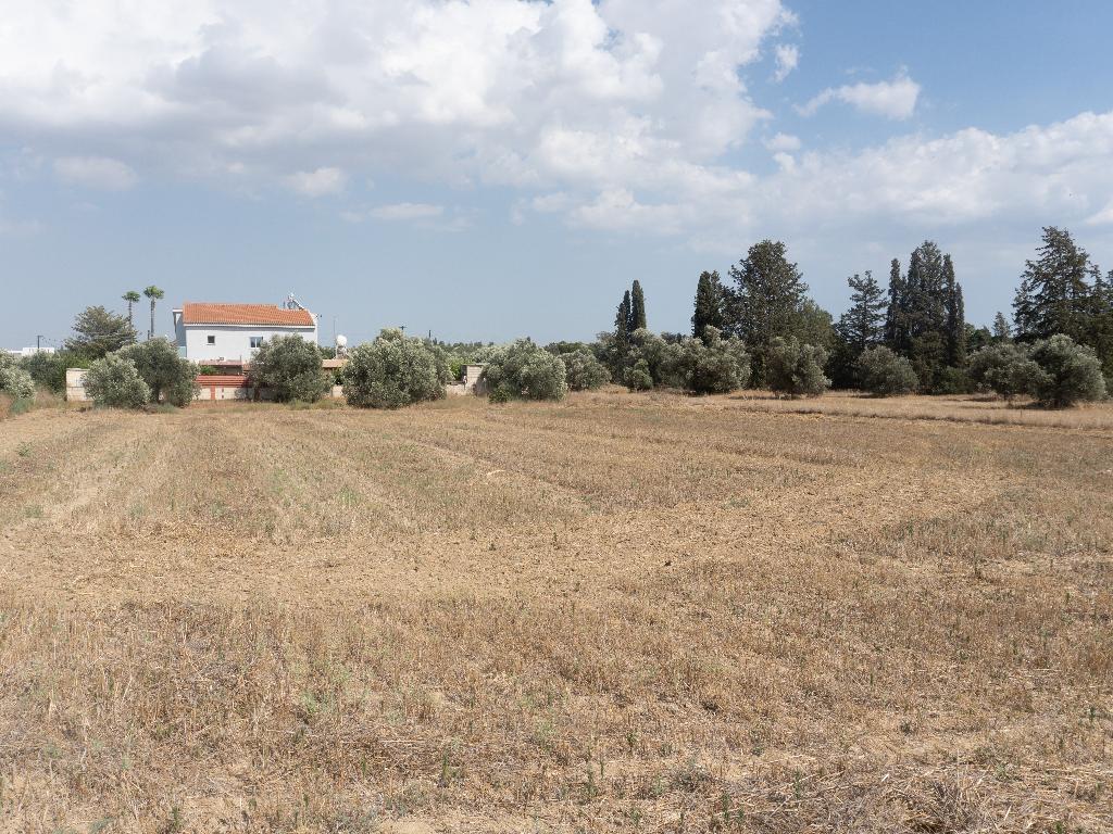 Residential Field ( 3,178 m²) – Ergates, Nicosia image 2